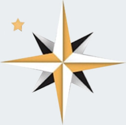 Fondazione Gono logo